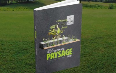 Vital Concept et Kabélis