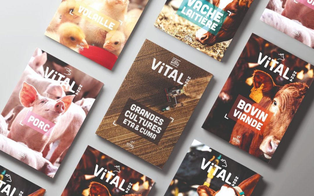 Les catalogues VITAL CONCEPT 2024