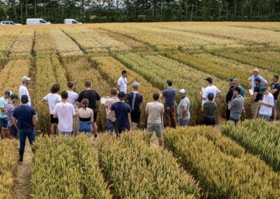 Winfarm Groupe - ja ats 4