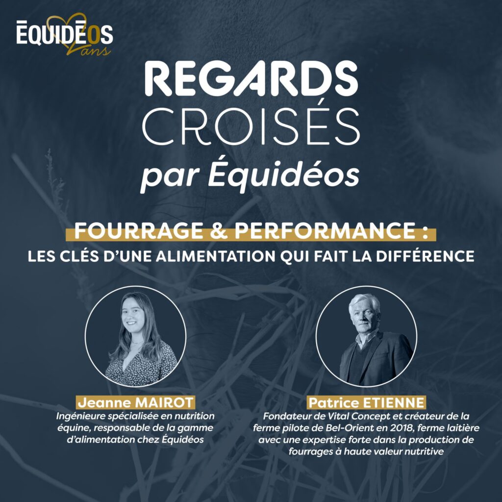 Winfarm Groupe - 1750859393033