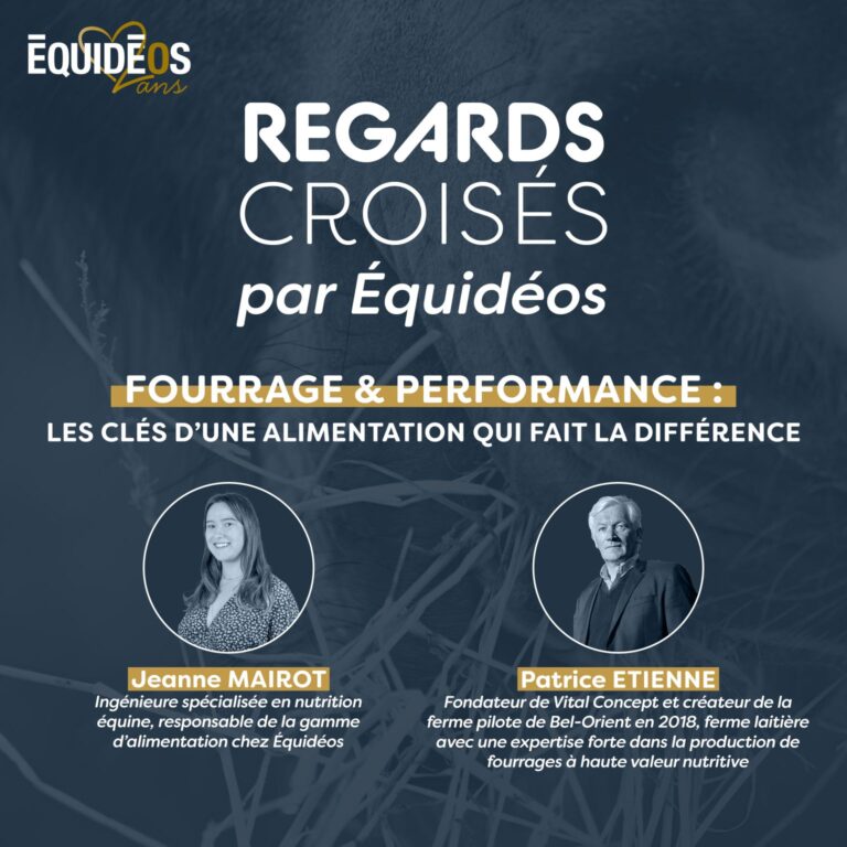 Winfarm Groupe - 1750859393033