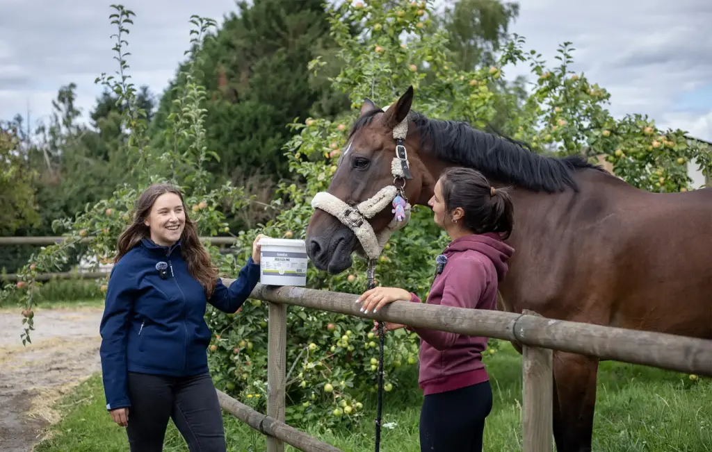 Winfarm Au Pas Avec… Camille Condé-Ferreira : une immersion dans l’univers d’une cavalière de CSO de haut niveau ! Winfarm Groupe - 36bc4fe52094f42ea494f77f3ee73b90bd7adc761c0ef8f55d48cec8eebaffec 3