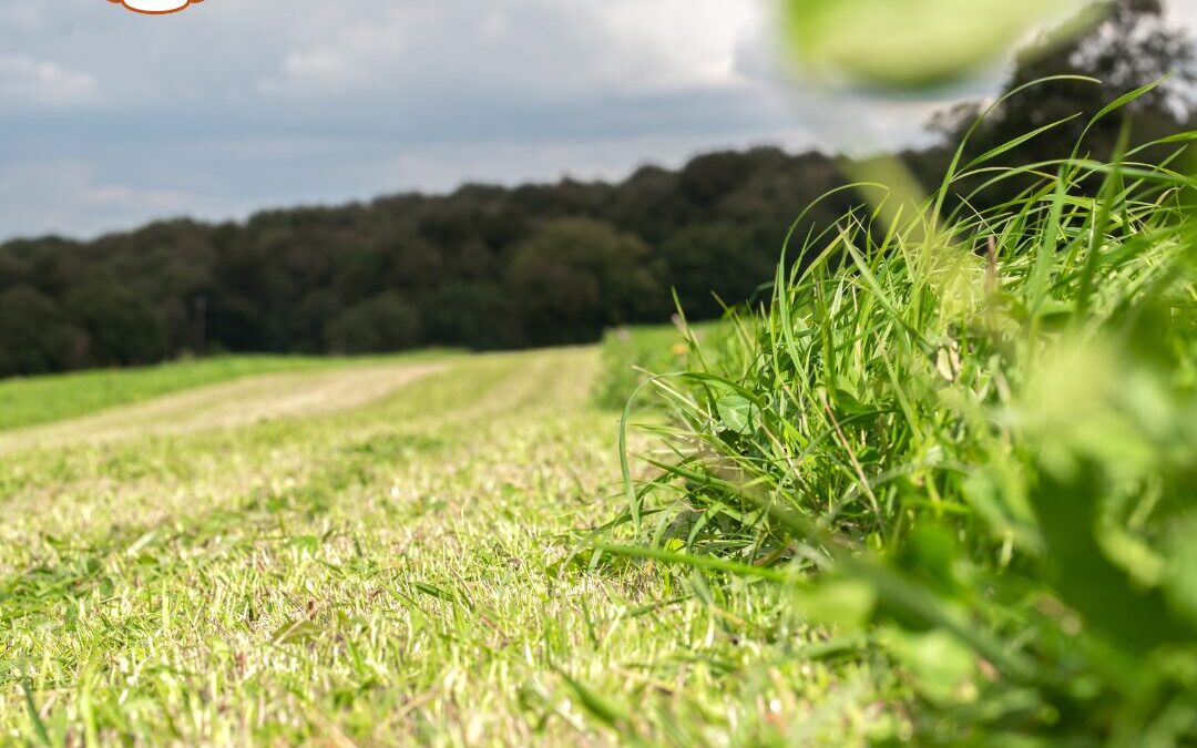 La Ferme de Bel Orient certifiée Haute Valeur Environnementale (HVE) – niveau 3 !
