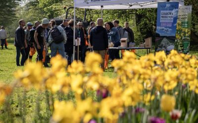 À Cesson-Sévigné, Kabelis et la Ville rassemblent les collectivités autour de solutions concrètes pour des espaces verts durables