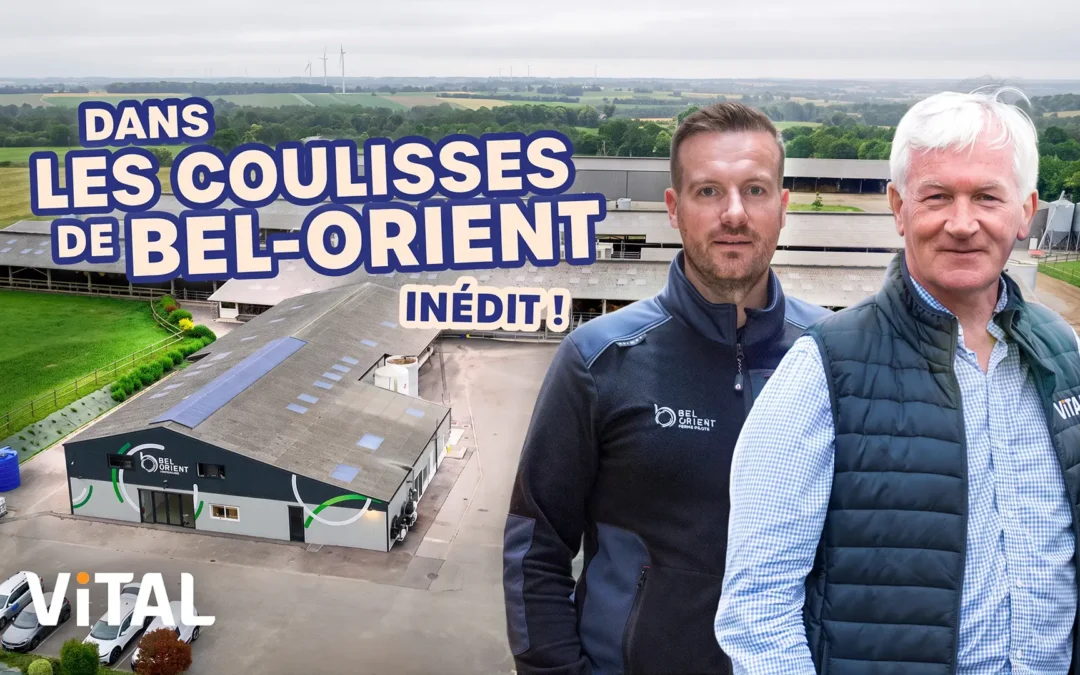 Bel Orient à l’honneur dans la série « Les Pieds dans les Bottes »