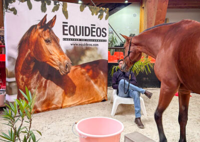Winfarm Groupe - bj2