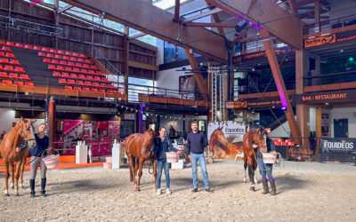 Journées Équidéos : trois jours d’échanges autour du cheval athlète